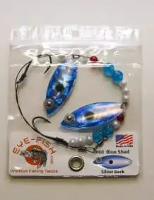 Blue Shad fishing lures with beads, spinner, and silver back for freshwater fishing.