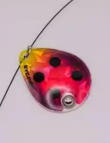 Colorful fishing lure with black spots for bass and trout fishing.